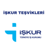 5219adce7ccf184a7d3a9b312b03697a